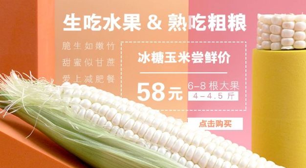 惠来县客鸟尾镇,惠来客鸟尾村