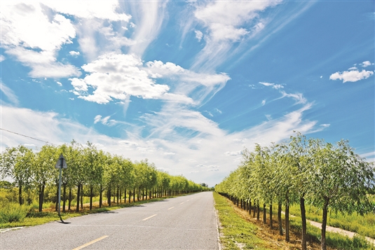 包头乡村振兴,包头田园综合体