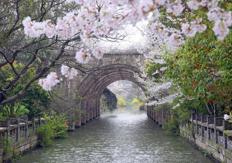 清明小长假上海旅游,上海清明小长假适合去哪旅游