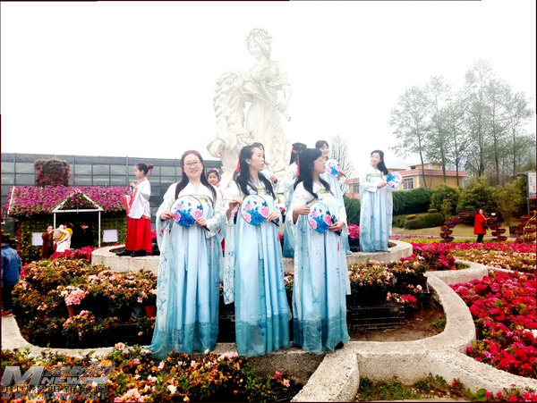 鲜花搭台经济唱戏：“赏花游”带来了什么“钱”景？