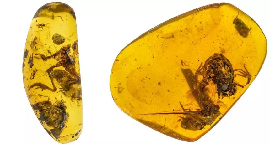 古人对磁的运用,天然磁石研究