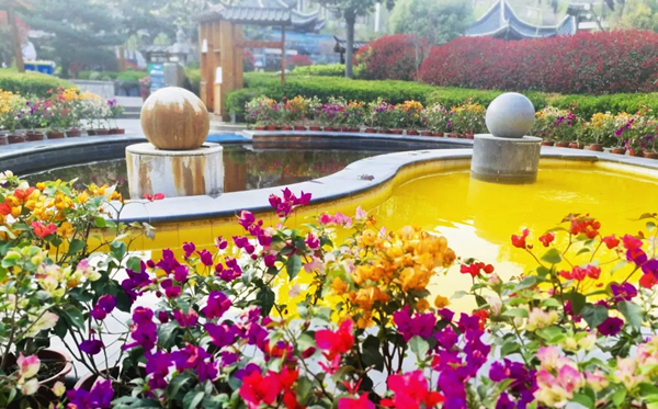 智圣汤泉自助游推荐,智圣汤泉两日旅游