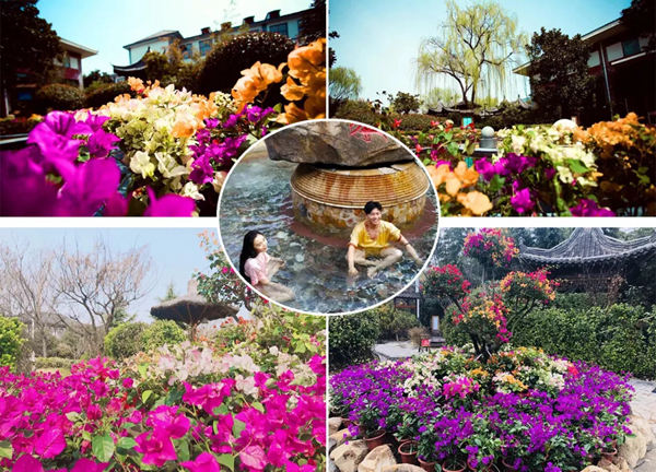 智圣汤泉自助游推荐,智圣汤泉两日旅游