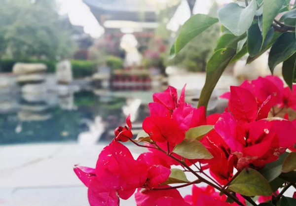 智圣汤泉自助游推荐,智圣汤泉两日旅游