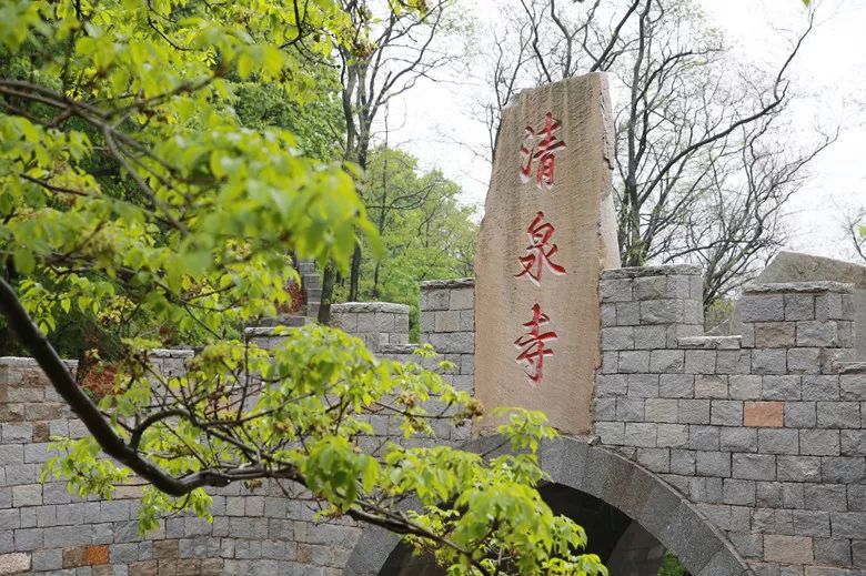 玩遍大连丨零距离接触大自然一定是很多人的选择，一起去普兰店看看吧。