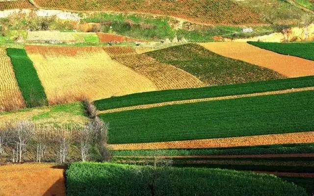 旅游攻略清明小长假,清明小长假你的旅游清单定好了吗