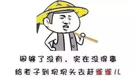 四川最难懂的十大方言,四川最难听懂的方言