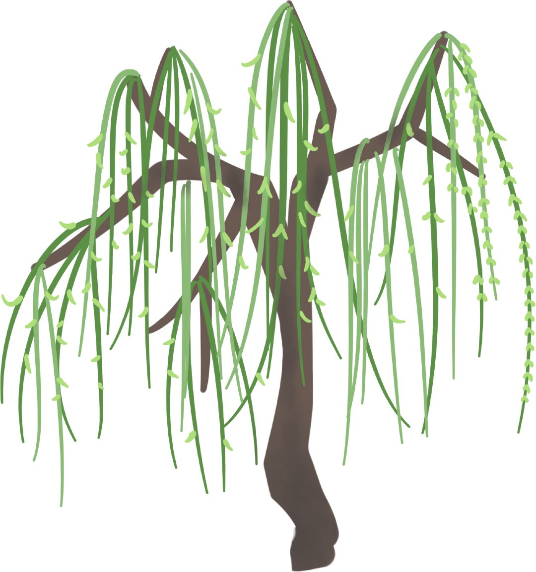 直播预告:对话*明徐**光|对应取穴,大道至简