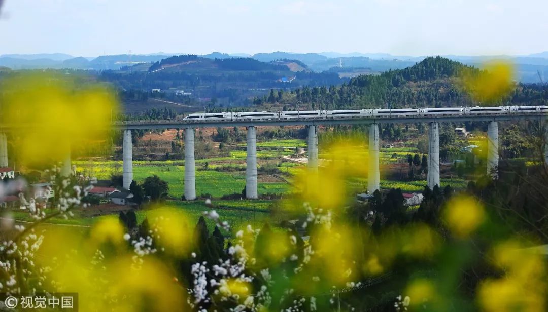 交通出行小宝典,小长假专线旅游线路推荐
