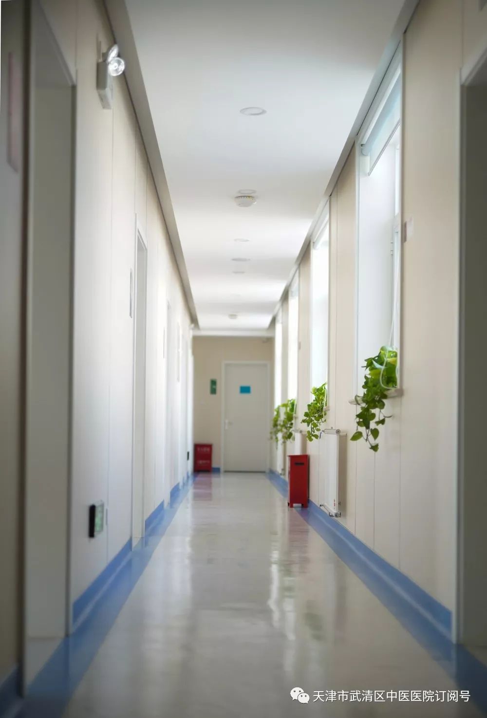 美丽从齿开始口腔诊所天津,美丽从牙开始的图片