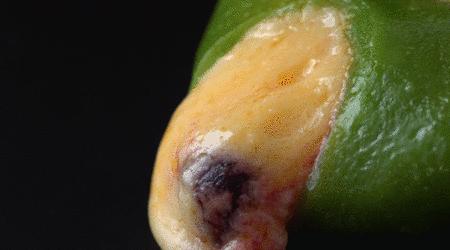 四月网红产品,4月网红新品