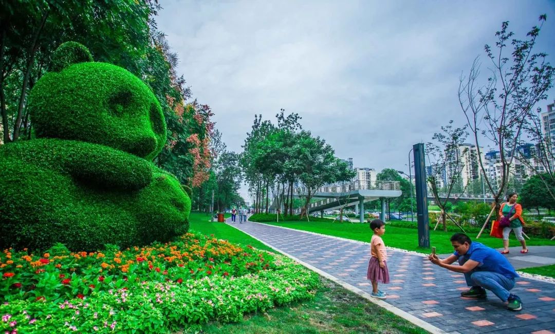 成都亲子游学7日游,成都游学旅游攻略