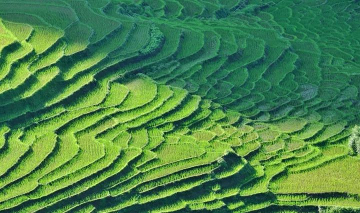 1-2天游玩,纯玩又便宜有趣的旅游线路