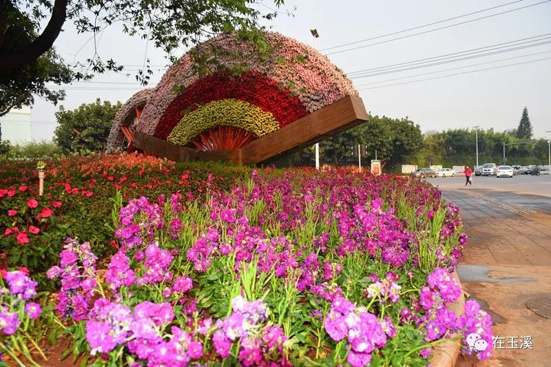 玉溪是一个好地方,玉溪滇中植物园是个美丽的大花园