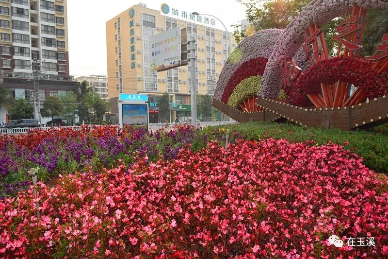 玉溪是一个好地方,玉溪滇中植物园是个美丽的大花园