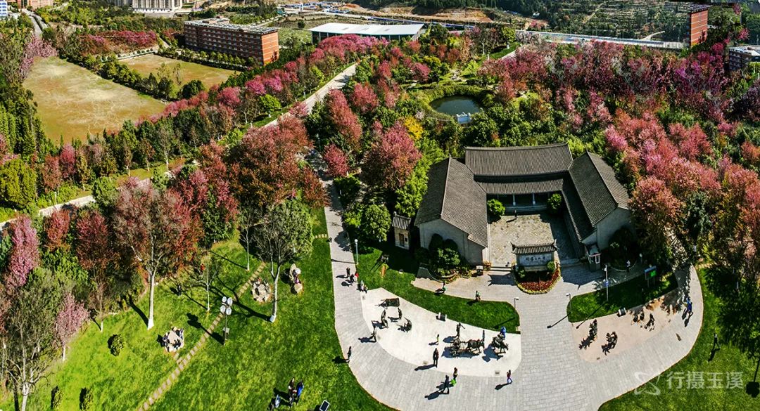 玉溪是一个好地方,玉溪滇中植物园是个美丽的大花园