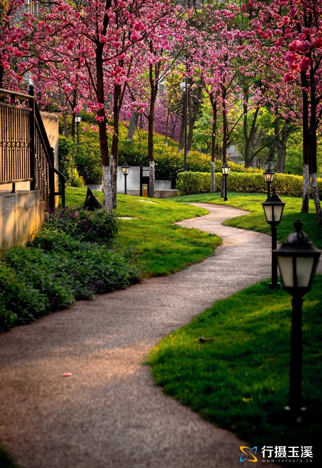 玉溪是一个好地方,玉溪滇中植物园是个美丽的大花园