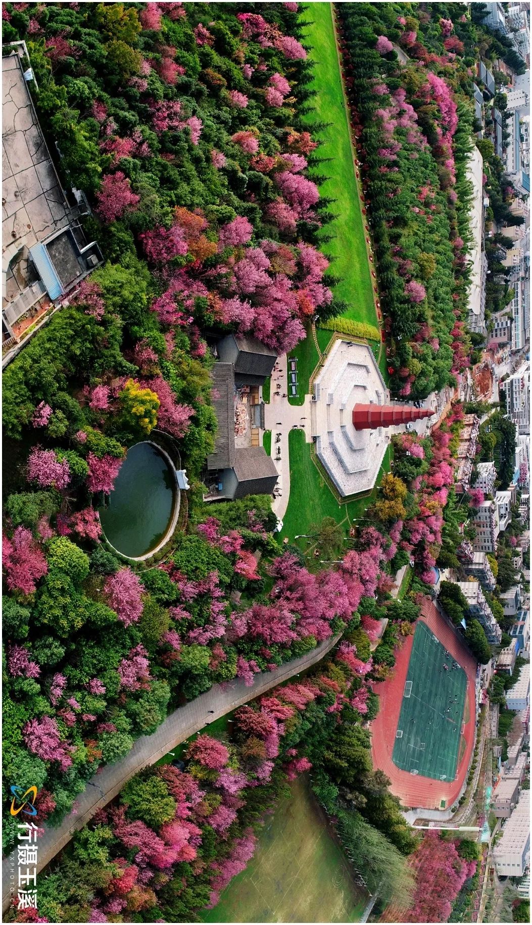 玉溪是一个好地方,玉溪滇中植物园是个美丽的大花园