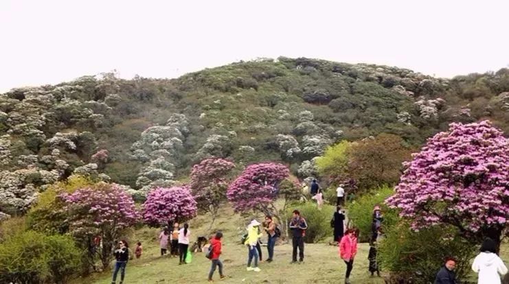 马耳山一日游攻略,马耳山旅行