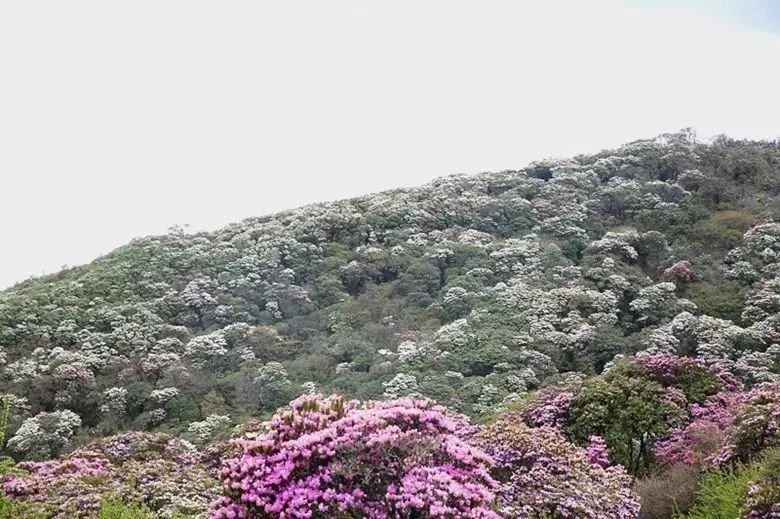 马耳山一日游攻略,马耳山旅行