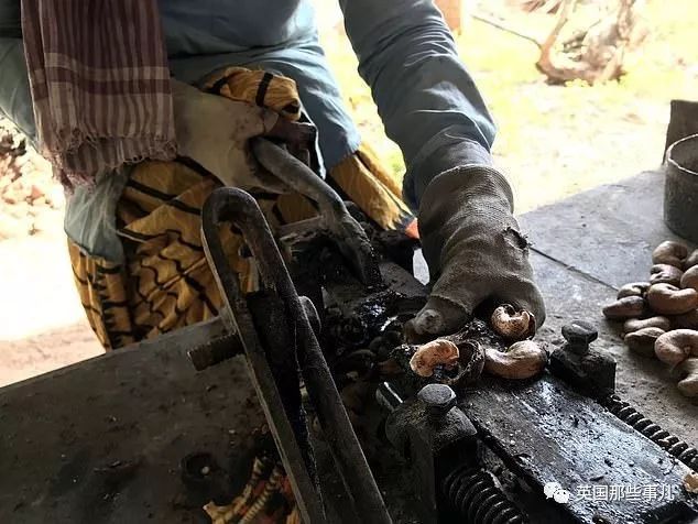 怎样才能正确的剥腰果,剥腰果有多困难