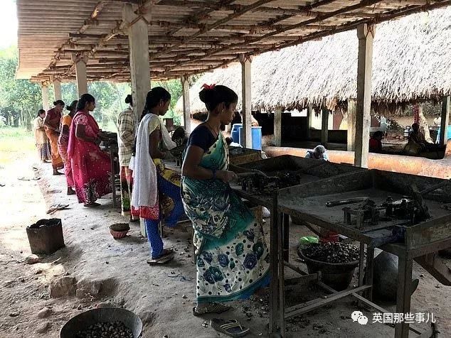 怎样才能正确的剥腰果,剥腰果有多困难