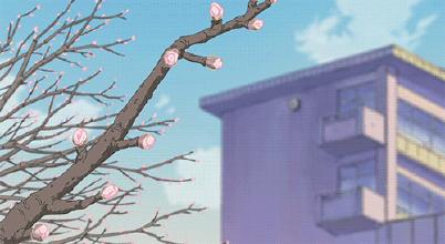 “樱花”是cherryflower？老外都要笑哭了