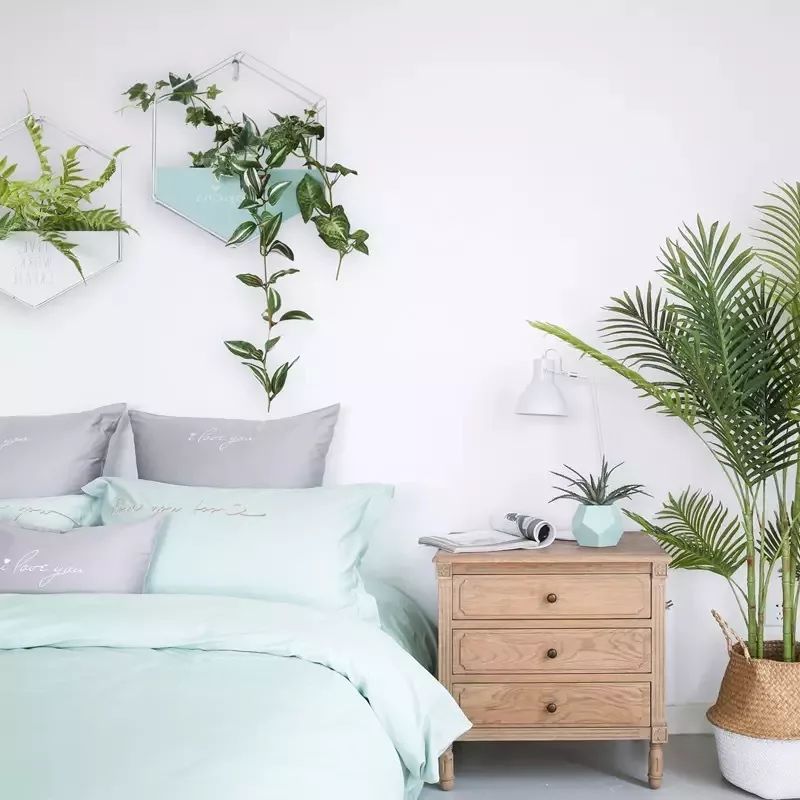 绿植装饰艺术,绿植造型效果图