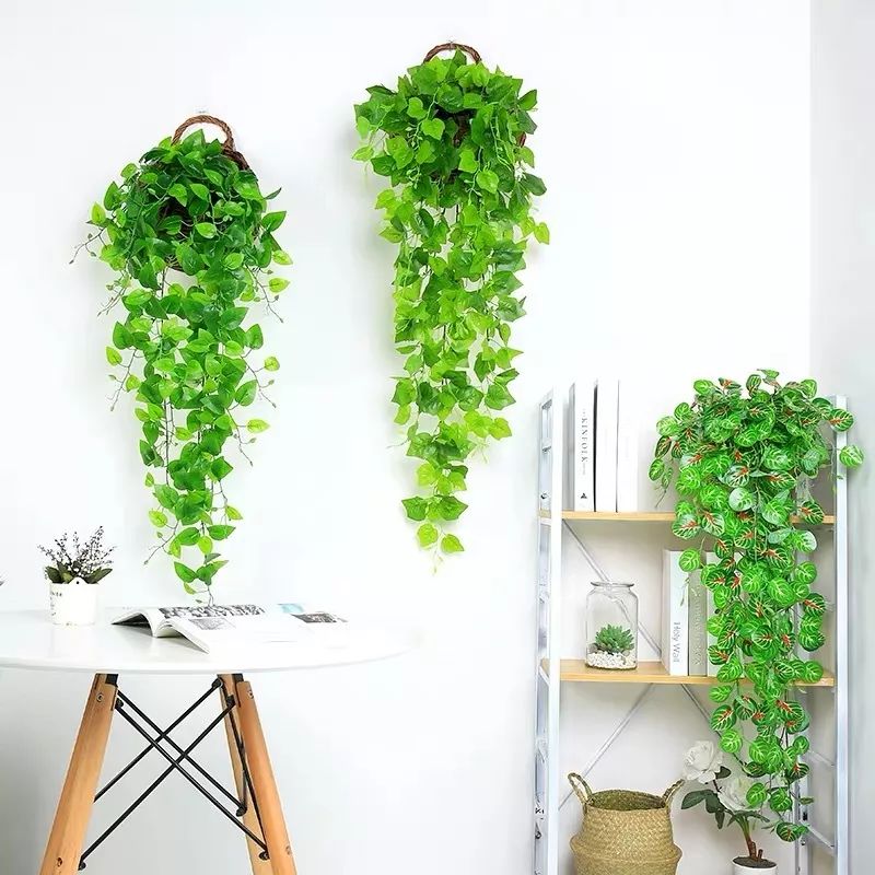 绿植装饰艺术,绿植造型效果图