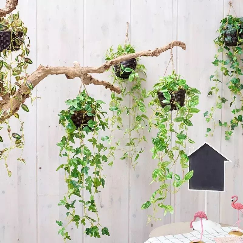 绿植装饰艺术,绿植造型效果图