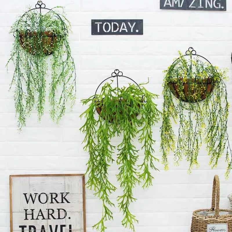 绿植装饰艺术,绿植造型效果图