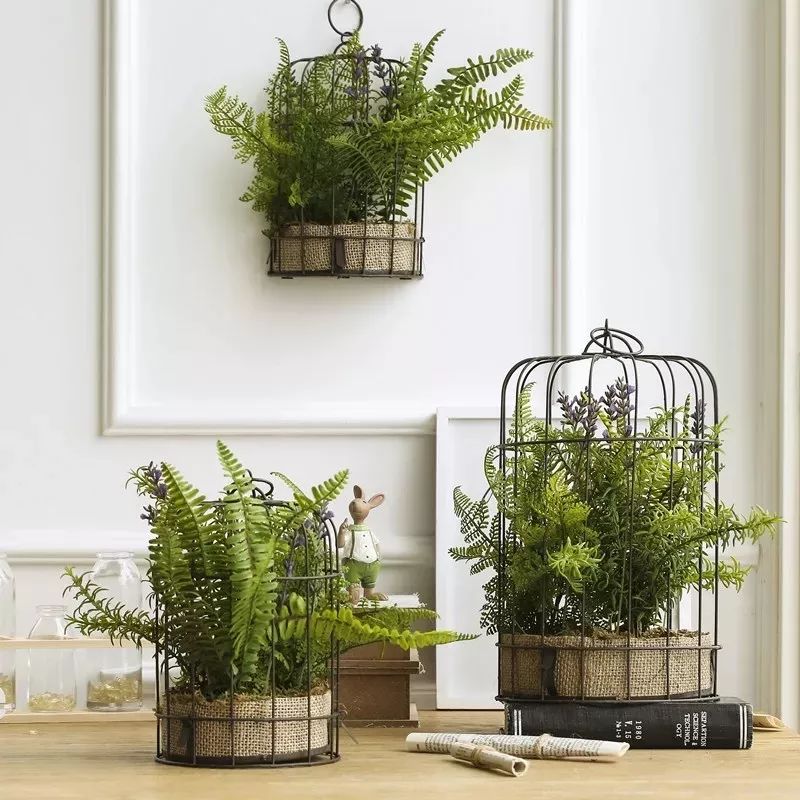 绿植装饰艺术,绿植造型效果图