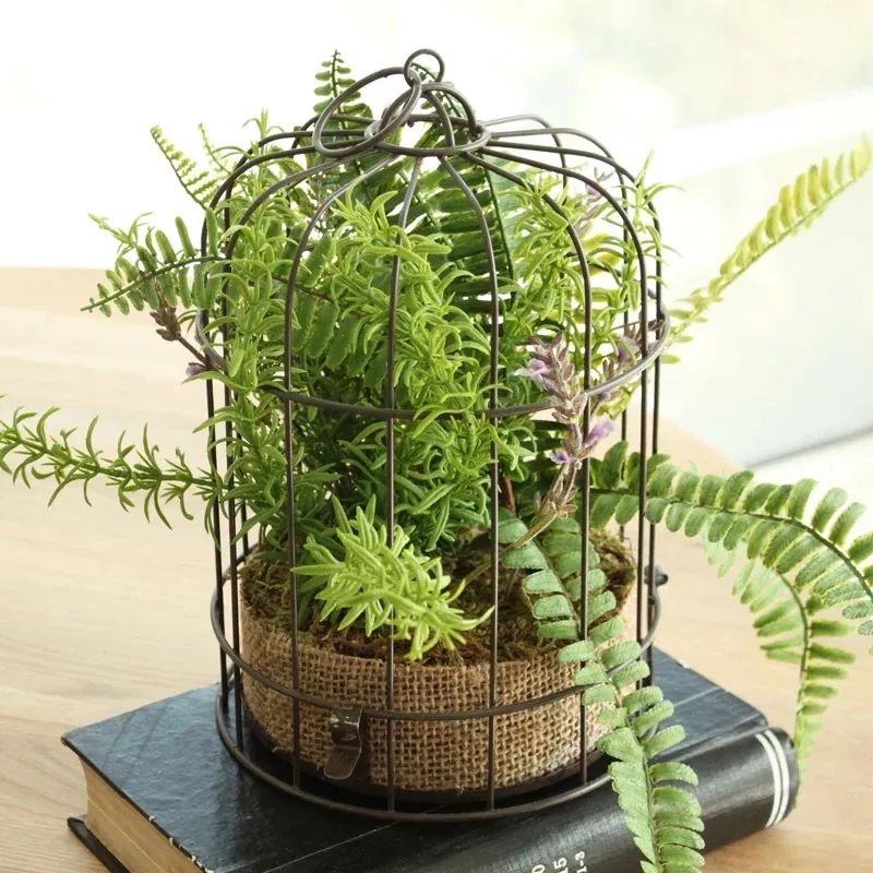 绿植装饰艺术,绿植造型效果图