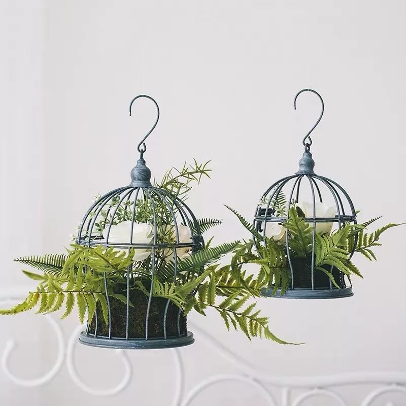 绿植装饰艺术,绿植造型效果图