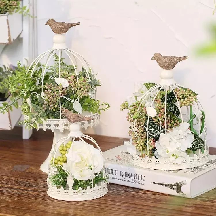 绿植装饰艺术,绿植造型效果图