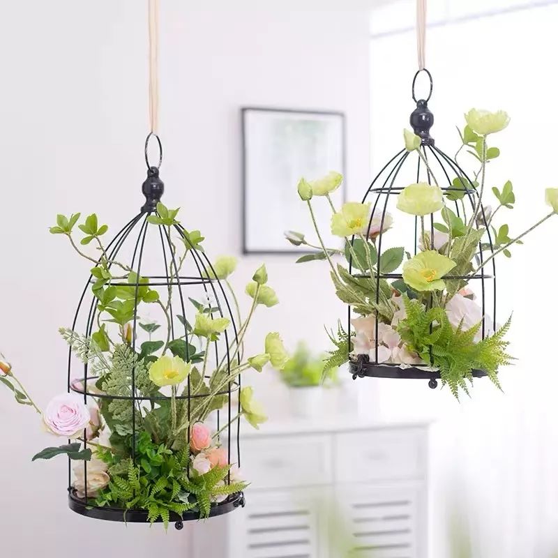 绿植装饰艺术,绿植造型效果图