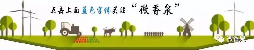 马铃薯晚疫病的主要防治方法,马铃薯晚疫病发病过程和症状