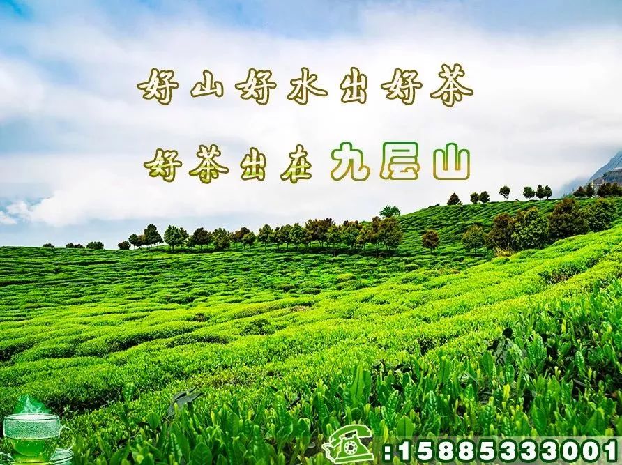 纪律处分条例违反组织纪律,纪律处分条例违反组织纪律的表现