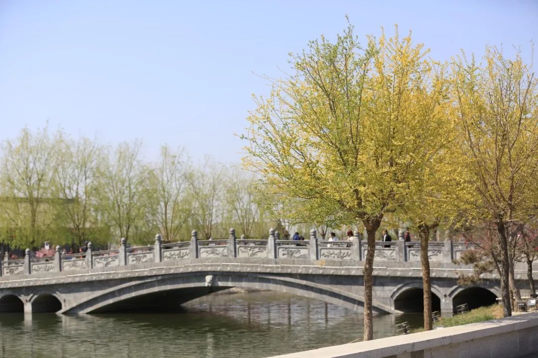 清明节正定赏花游攻略,正定清明踏青好去处