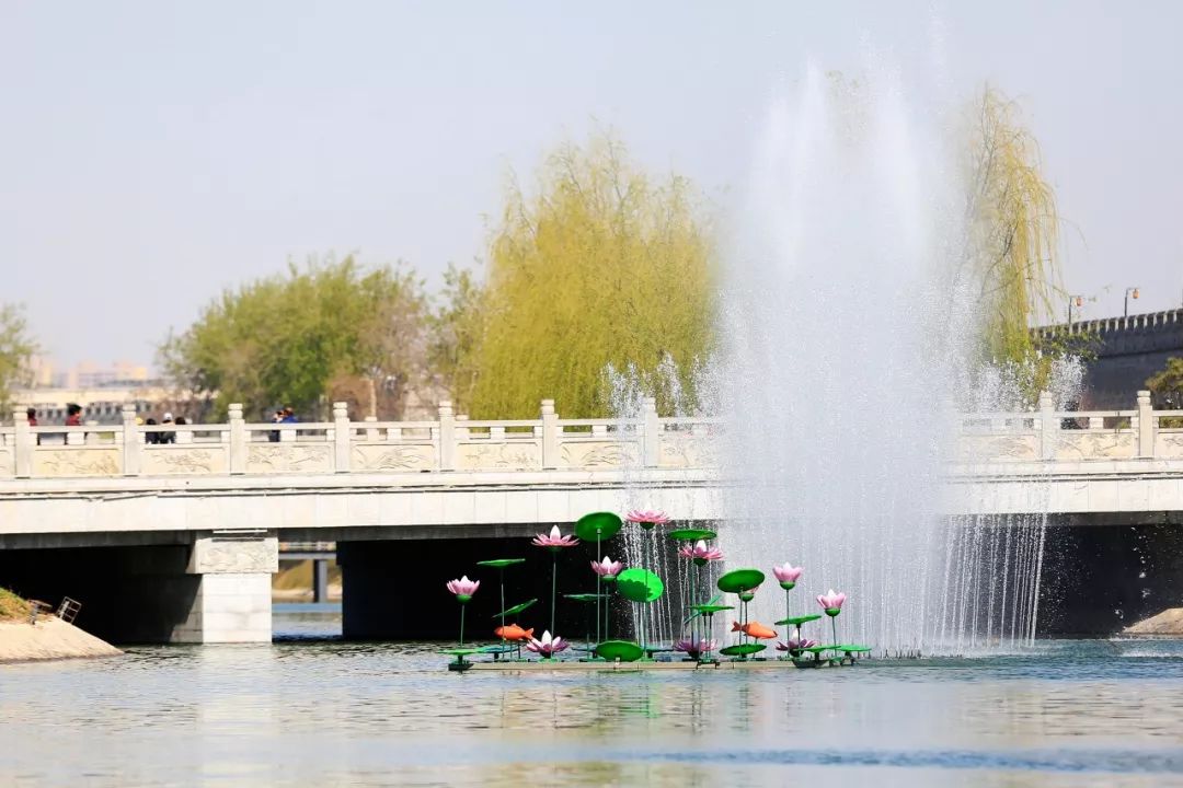 清明节正定赏花游攻略,正定清明踏青好去处