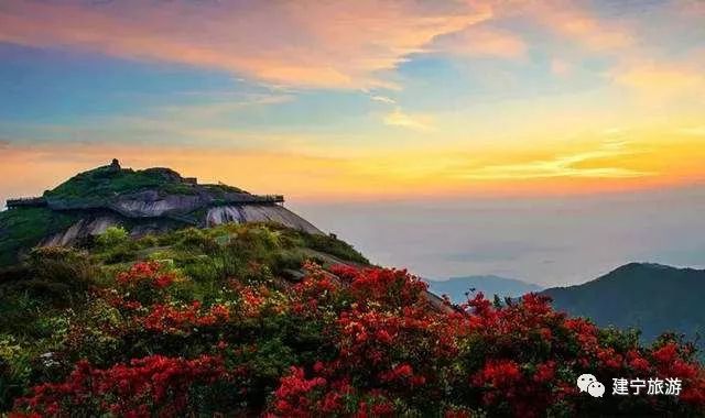 都挺好全网爆火,都挺好全网搜