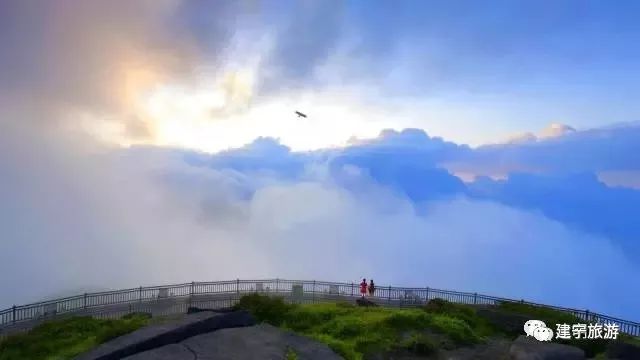 都挺好全网爆火,都挺好全网搜