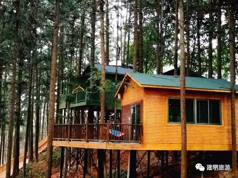 都挺好全网爆火,都挺好全网搜