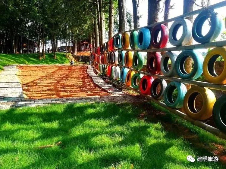 都挺好全网爆火,都挺好全网搜