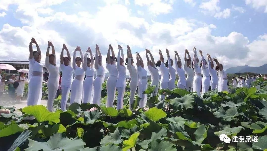 都挺好全网爆火,都挺好全网搜