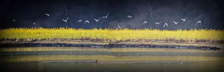 都挺好全网爆火,都挺好全网搜