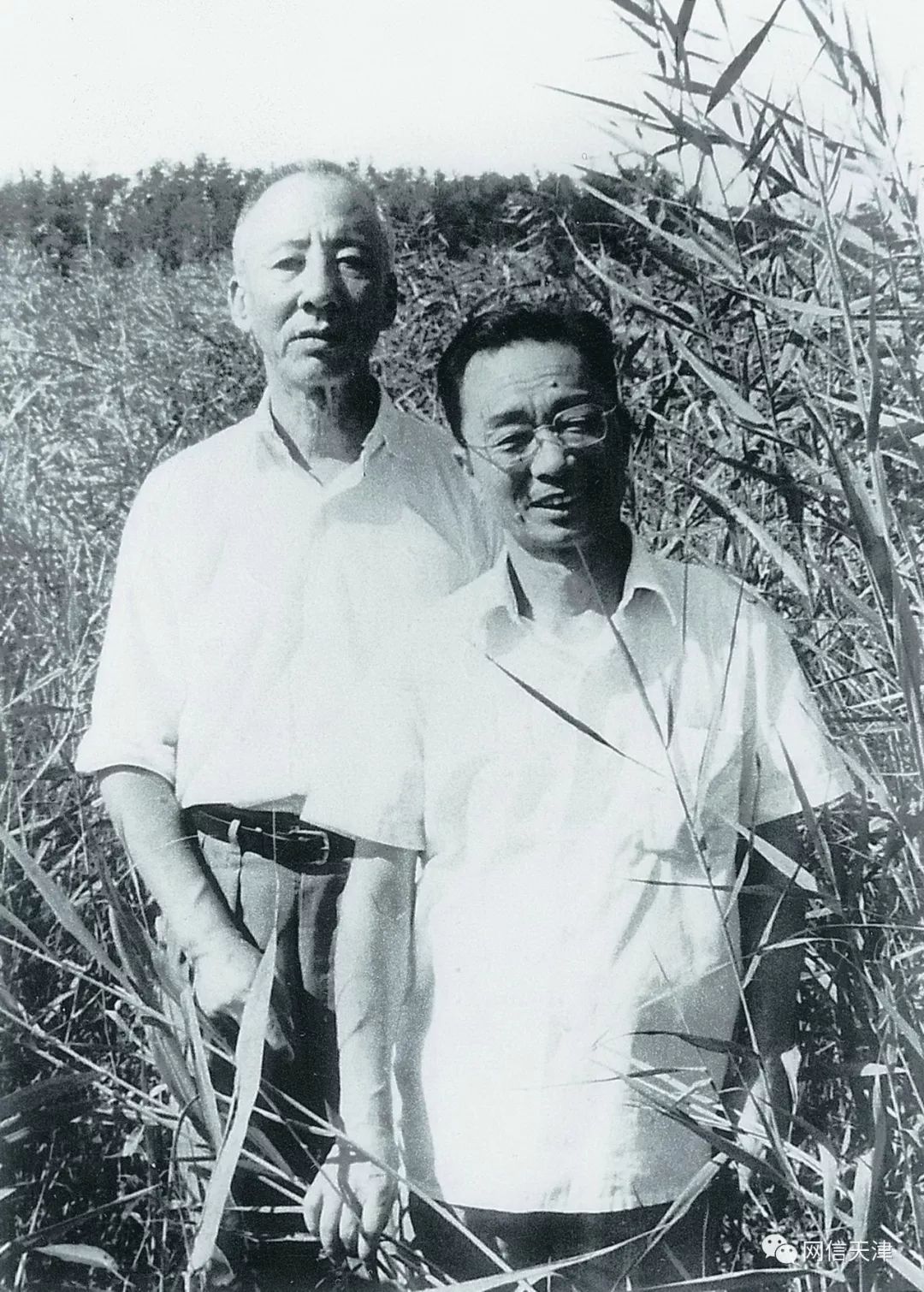 【网信文化】天津老字号——百花文艺出版社