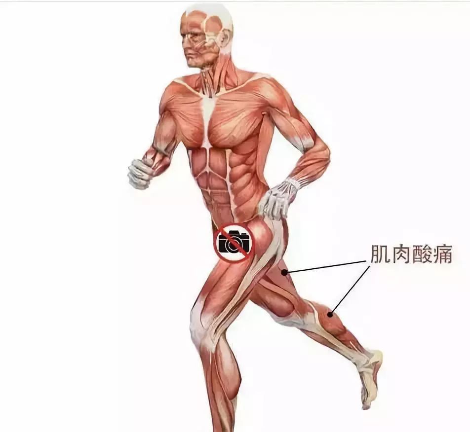 长距离徒步完如何恢复,长距离徒步前几个月如何准备