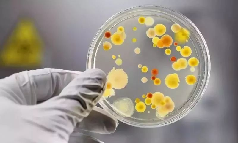 卫生纸可以擦嘴吗?原来这些年都错了