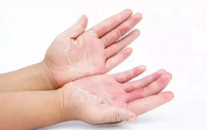 卫生纸可以擦嘴吗?原来这些年都错了